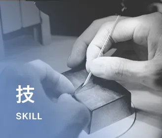 技 SKILL