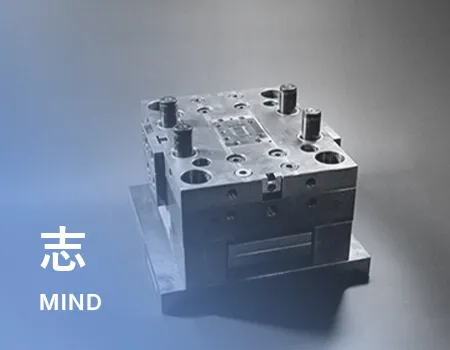 志 MIND